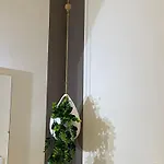 Apartmán 4 Personnes A 3 Mns De La Avec Jardin *